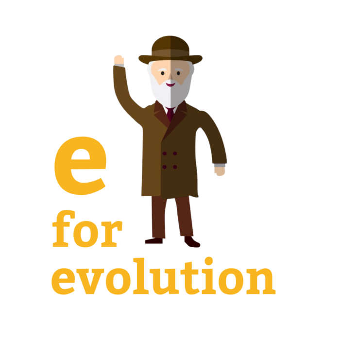 E for Evolution